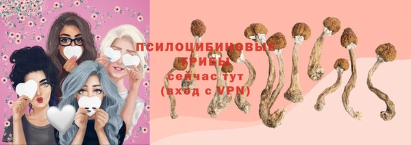 apvp Остров