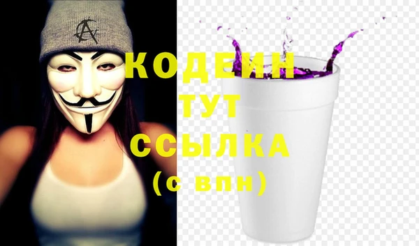 индика Вязьма