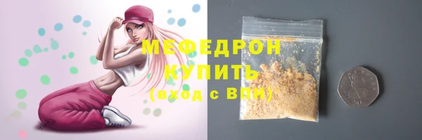 индика Вязьма