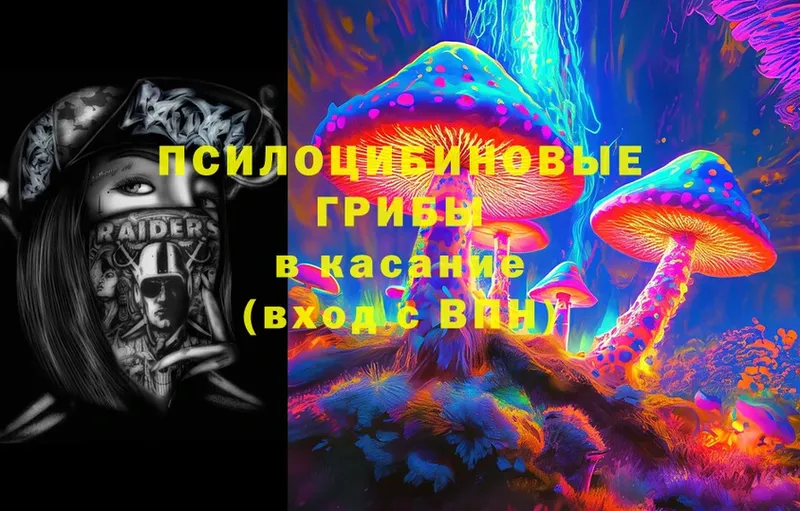 Псилоцибиновые грибы Cubensis  маркетплейс состав  Ипатово 