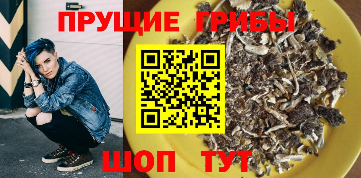 Ипатово  Галлюциногенные грибы Psilocybine cubensis  где купить наркоту  Вход с VPN 